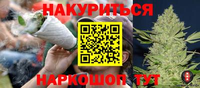 крисы Краснознаменск