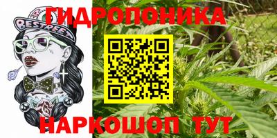 крисы Краснознаменск