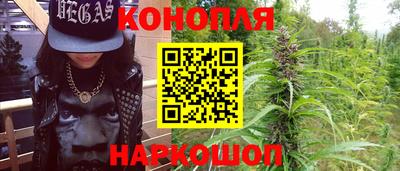крисы Краснознаменск