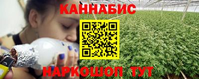 крисы Краснознаменск
