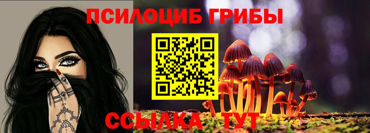 Псилоцибиновые грибы MAGIC MUSHROOMS Камень-на-Оби
